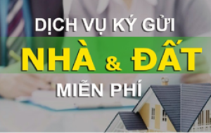 Nhận Ký Gửi, Tìm Bất Động Sản Theo Yêu Cầu.