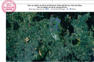 Một doanh nghiệp muốn nghiên cứu đầu tư dự án quy mô lớn tại thành phố Đà Lạt.