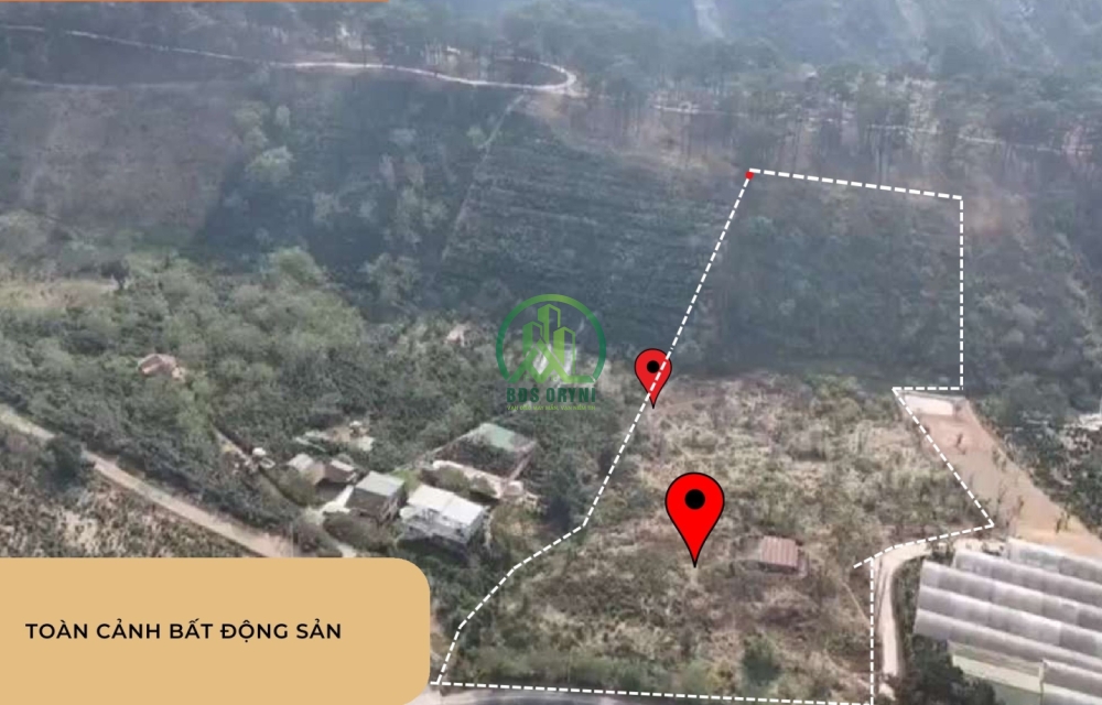 CẦN BÁN LÔ ĐẤT MẶT TIỀN ĐƯỜNG NHỰA XUÂN TRƯỜNG- ĐÀ LẠT