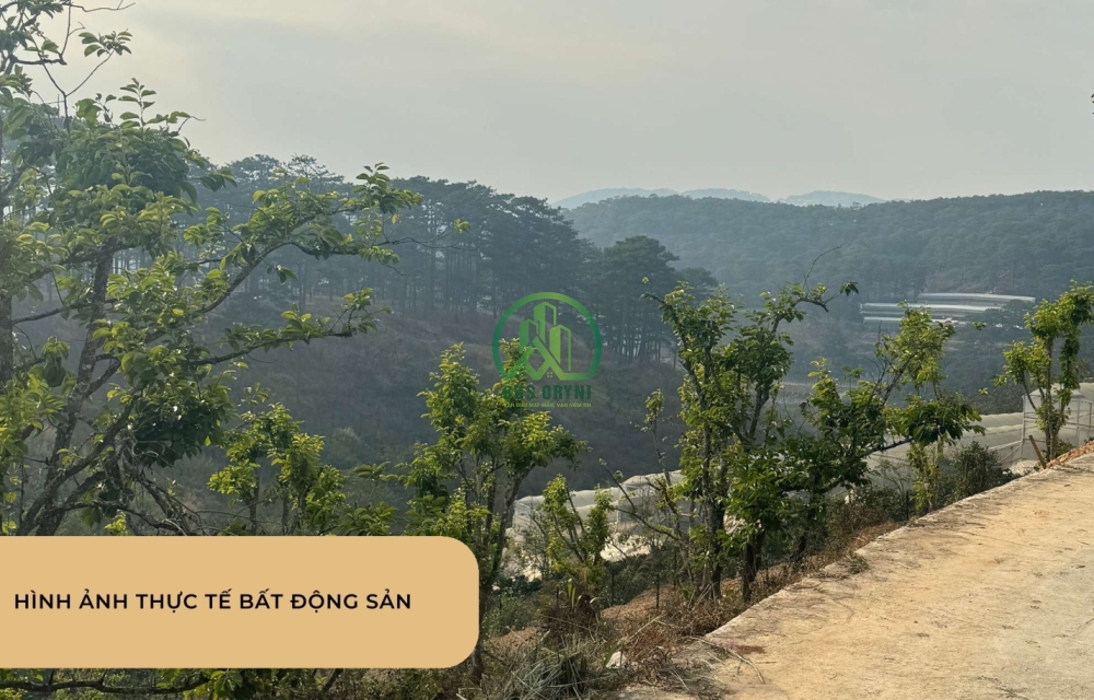 CẦN BÁN LÔ ĐẤT MẶT TIỀN ĐƯỜNG NHỰA XUÂN TRƯỜNG- ĐÀ LẠT