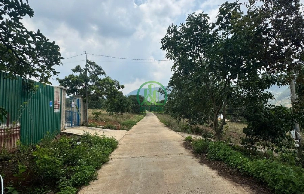 🌟 CẦN BÁN ĐẤT ĐÔNG THANH, NAM BAN - LÂM HÀ