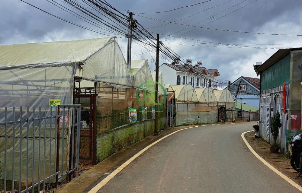 🌸CẦN BÁN ĐẤT ĐẸP THÁI PHIÊN, P. LÂM VIÊN - ĐÀ LẠT 