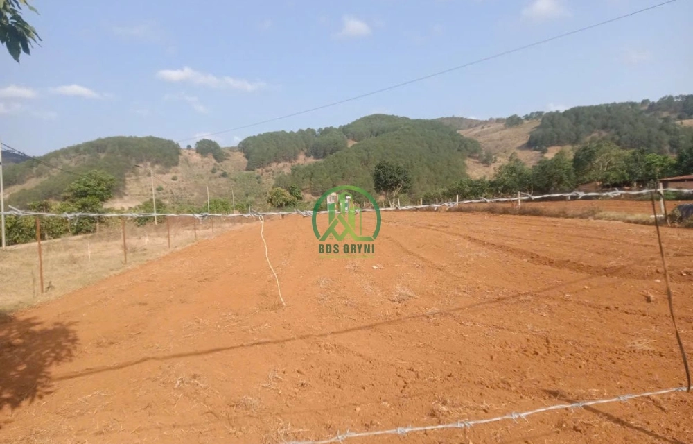 CẦN BÁN LÔ ĐẤT TẠI PHƯỜNG CAM LY - ĐÀ LẠT ( xã Tà Nung cũ)