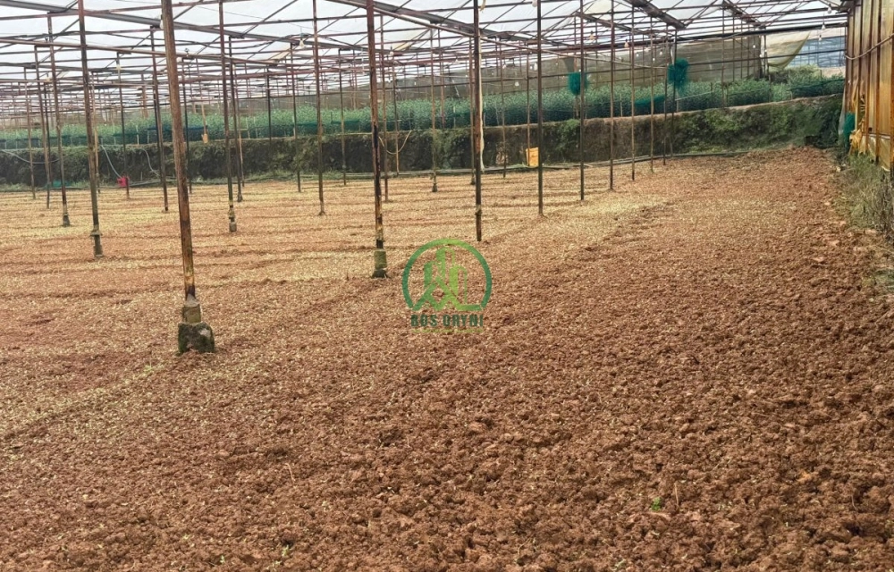 🌤 CẦN BÁN 4 SÀO ĐẤT NGAY HÒ THAN THỞ TẠI PHƯỜNG XUÂN TRƯỜNG - ĐÀ LẠT (P11 cũ)