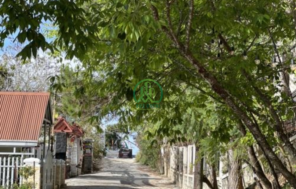 CẦN BÁN 1832m2 ĐÂT CÓ VIEW NGAY CẠNH DINH 1- PHƯỜNG 10- ĐÀ LẠT 