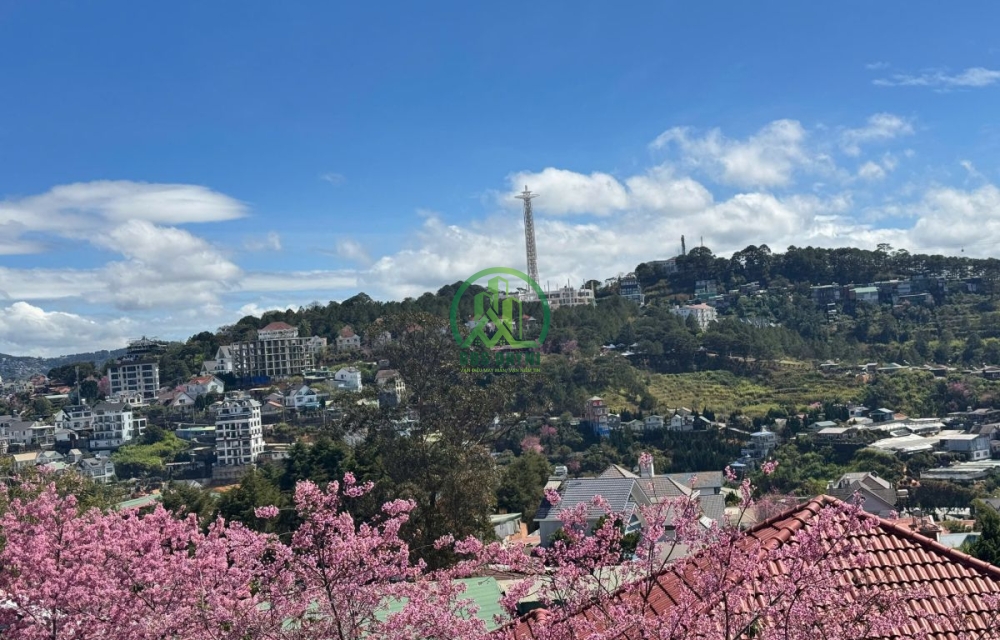 💥 CẦN BÁN ĐẤT KHU DIC AN SƠN, P. XUÂN HƯƠNG - ĐÀ LẠT