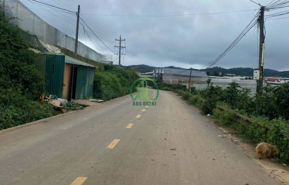 🌟 CẦN BÁN ĐẤT ĐƯỜNG ĐANKIA, P. LANGBIANG - ĐÀ LẠT