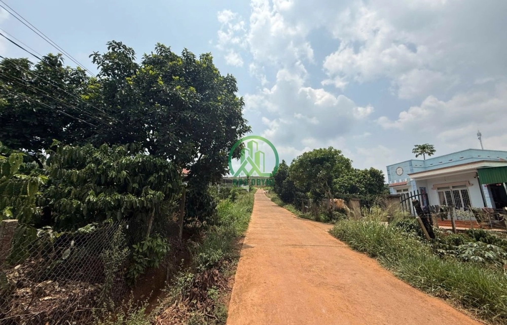 🌟 CẦN BÁN ĐẤT 2 MẶT ĐƯỜNG TẠI THỊ TRẤN NAM BAN - LÂM HÀ