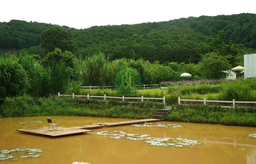 🌟 CẦN BÁN LÔ ĐẤT THOÁNG ĐẸP TẠI TÀ NUNG - PHƯỜNG CAM LY - ĐÀ LẠT
