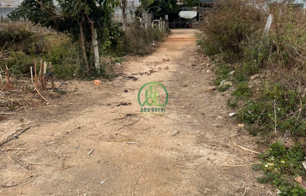 CẦN BÁN ĐẤT FULL THỔ CƯ - P. CAM LY - ĐÀ LẠT (XÃ TÀ NUNG)