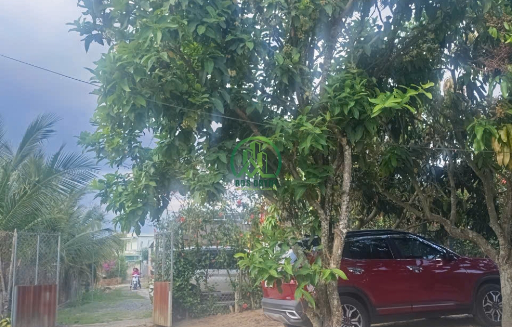 CẦN BÁN ĐẤT NINH GIA CÓ SẴN CÂY ĂN TRÁI TẠI ĐỨC TRỌNG - LÂM ĐỒNG