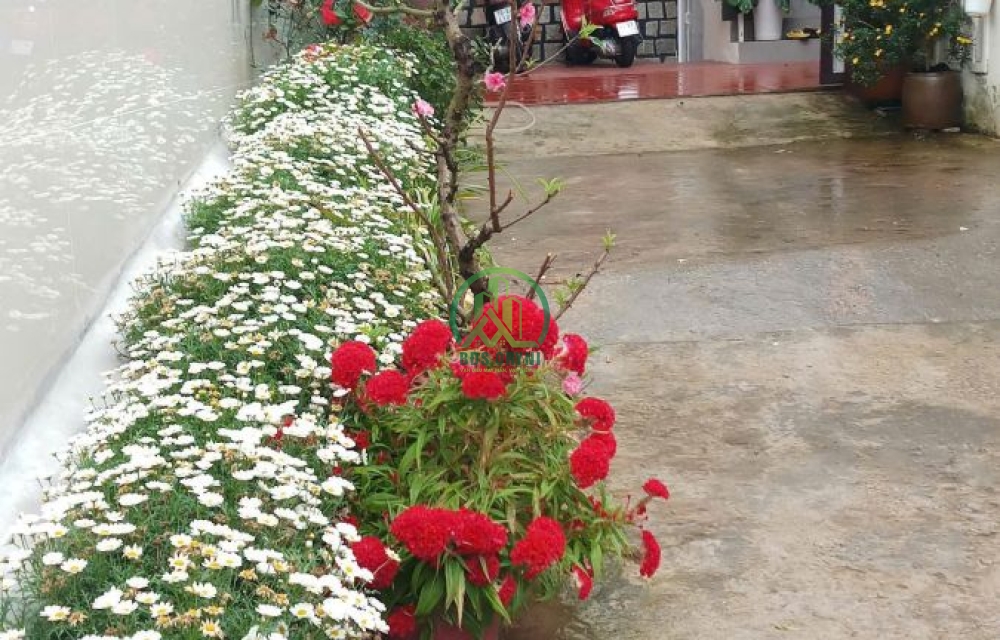 CẦN BÁN NHÀ CÓ SÂN VƯỜN ĐƯỜNG NGUYỄN TRUNG TRỰC - P. XUÂN HƯƠNG - ĐÀ LẠT (P4)