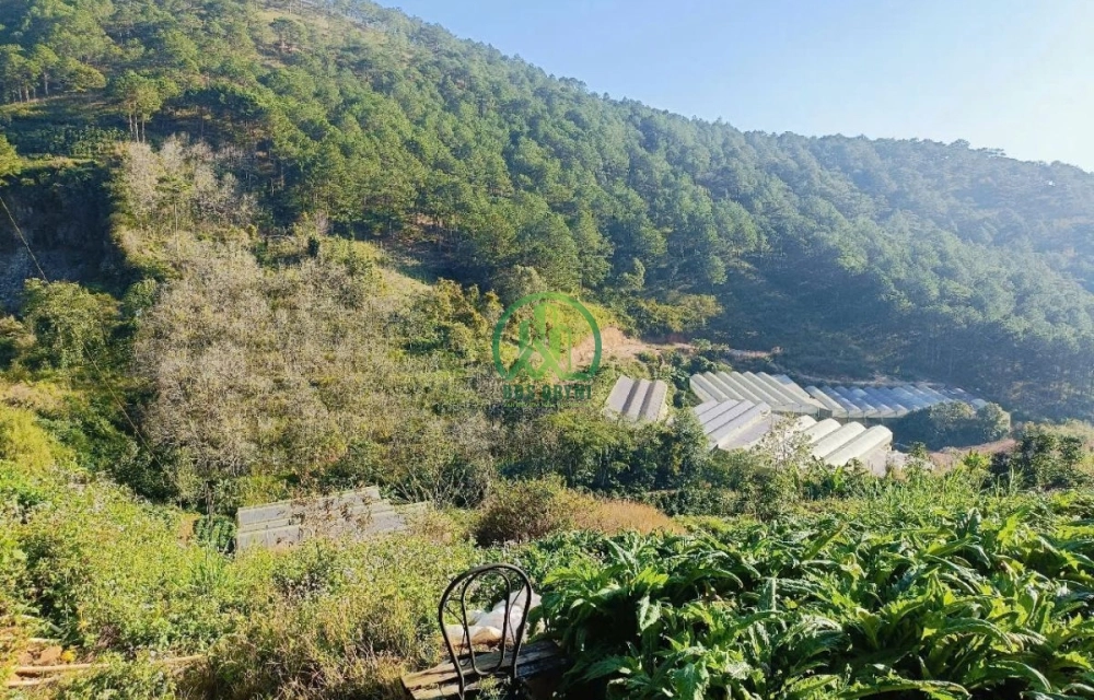 CẦN BÁN 533 M2 ĐẤT ĐƯỜNG HÙNG VƯƠNG, P. XUÂN TRƯỜNG - ĐÀ LẠT (P11)