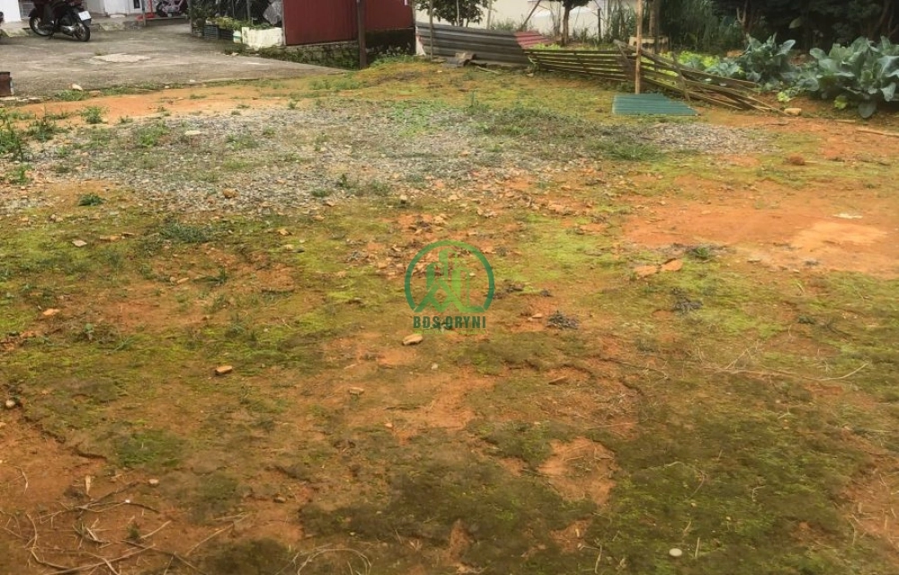 CẦN BÁN ĐẤT 2 MẶT HẺM LÝ NAM ĐẾ, P. LÂM VIÊN - ĐÀ LẠT (P8)