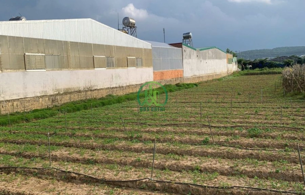 CẦN BÁN 4 LÔ ĐẤT LIỀN KỀ HIỆP THẠNH - LÂM ĐỒNG