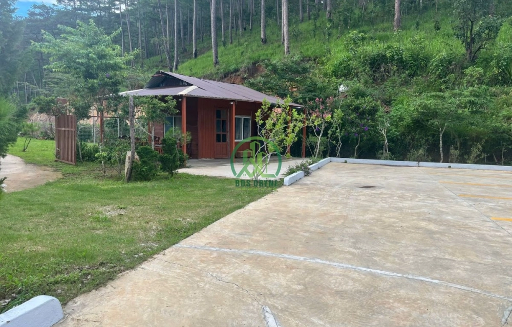 CẦN BÁN ĐẤT MIMOSA, P. XUÂN HƯƠNG (P. 3)