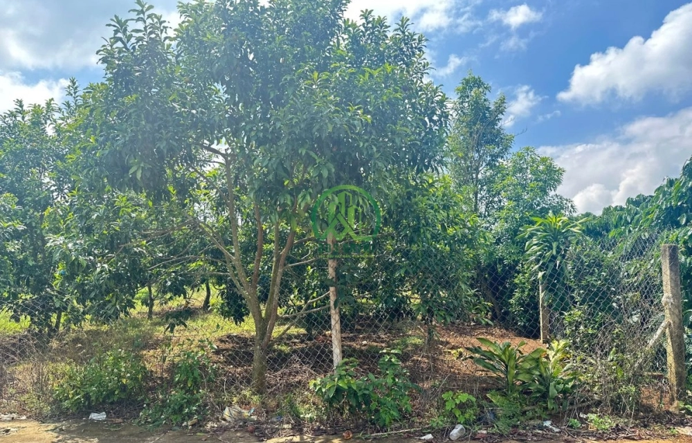 💥 CẦN BÁN ĐẤT BẰNG PHẲNG TẠI MÊ LINH - LÂM HÀ