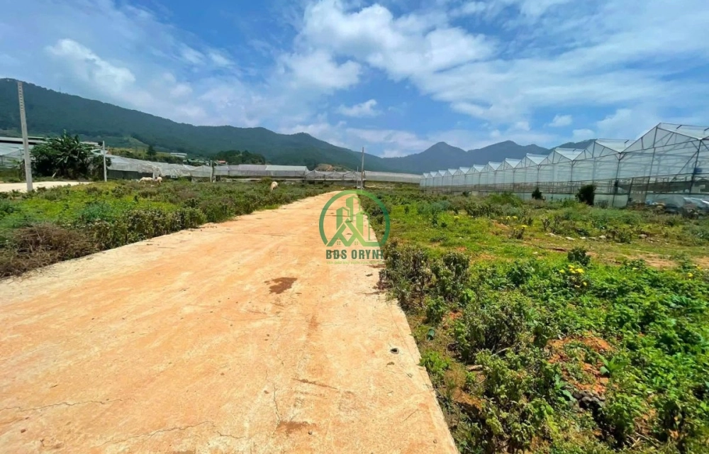 CẦN BÁN LÔ ĐẤT TRUNG TÂM PHƯỜNG LANGBIANG- ĐÀ LẠT (LẠC DƯƠNG)