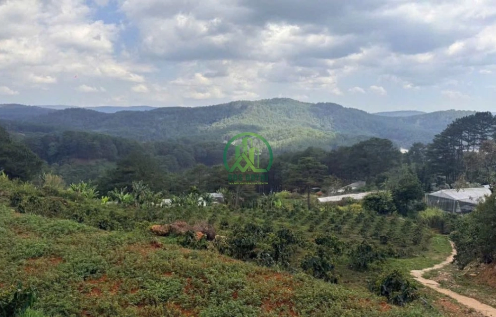 CẦN BÁN 2.000 M2 ĐẤT ĐƯỜNG HOÀNG HOA THÁM, P. XUÂN HƯƠNG - ĐÀ LẠT (P10)