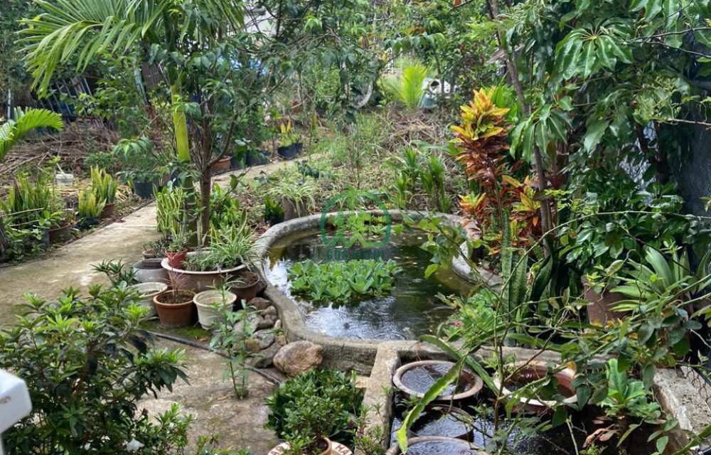  CẦN BÁN NHÀ ĐẸP SÂN VƯỜN – NGAY CHÂN ĐÈO PREN – ĐÀ LẠT