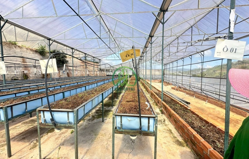 CẦN BÁN LÔ ĐẤT PHƯỚC THÀNH, P. LANGBIANG- ĐÀ LẠT (P. 7)