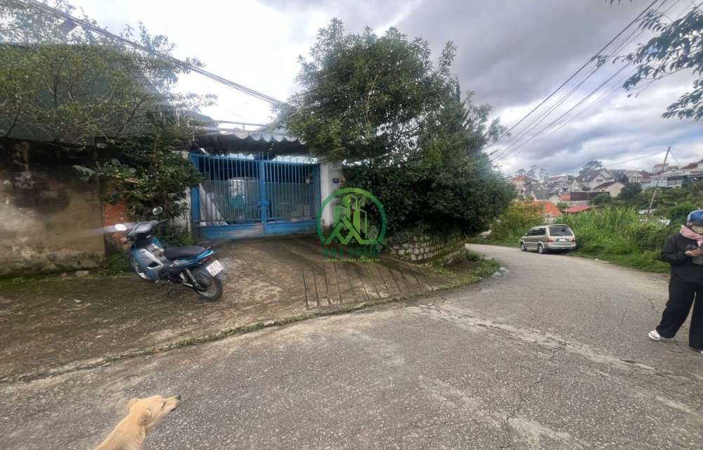 🏡 CẦN BÁN ĐẤT TẶNG 2 CĂN NHÀ – TRẦN ANH TÔNG, ĐÀ LẠT 🌿