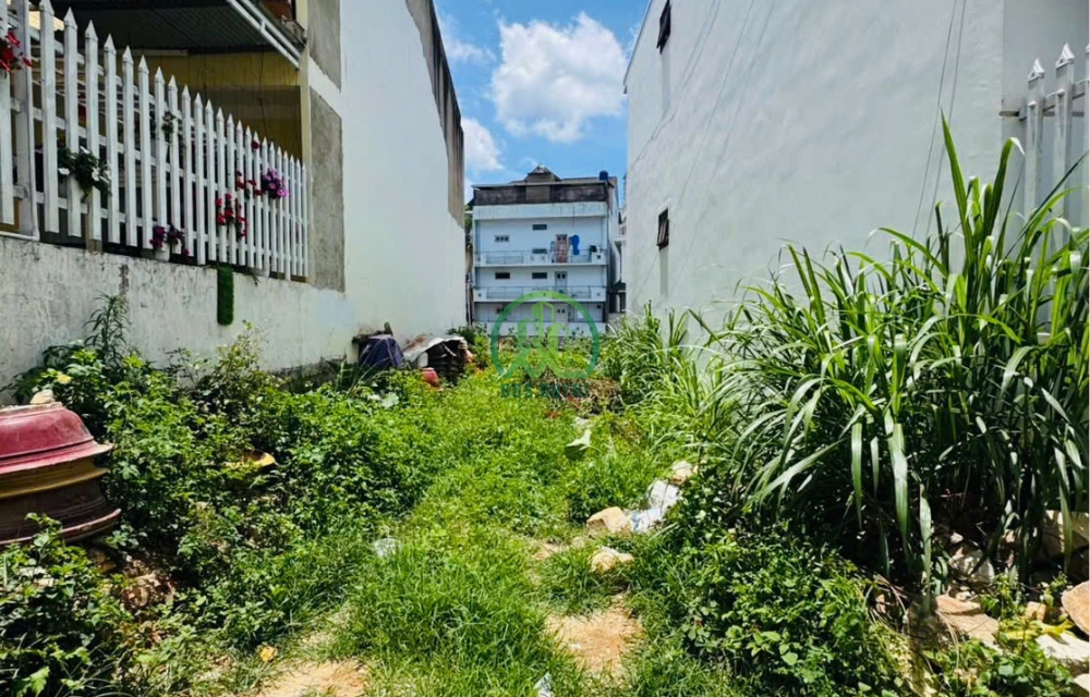 🏡 CẦN BÁN ĐẤT ĐƯỜNG TRẦN KHÁNH DƯ, PHƯỜNG XUÂN HƯƠNG- ĐÀ LẠT (P. 8)