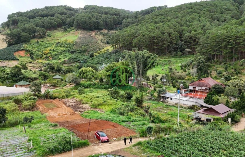 🏡 GIẢM GIÁ ĐẤT TÀ NUNG, P. CAM LY- ĐÀ LẠT, LÂM ĐỒNG