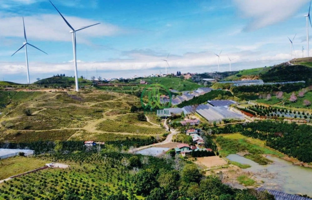 🏡 CẦN BÁN 3 LÔ ĐẤT LIỀN KỀ GẦN ĐỒI CHÈ CẦU ĐẤT, P. XUÂN TRƯỜNG- ĐÀ LẠT