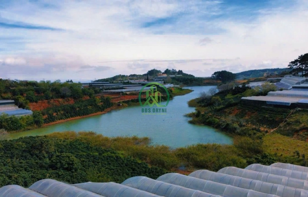 🏡 CẦN BÁN 3 LÔ ĐẤT LIỀN KỀ GẦN ĐỒI CHÈ CẦU ĐẤT, P. XUÂN TRƯỜNG- ĐÀ LẠT