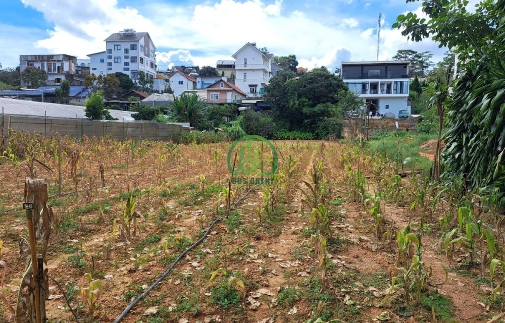 🏡 CẦN BÁN ĐẤT AN BÌNH, PHƯỜNG XUÂN HƯƠNG- ĐÀ LẠT (P. 3)