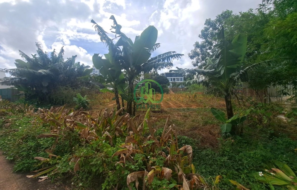 🏡 CẦN BÁN ĐẤT AN BÌNH, PHƯỜNG XUÂN HƯƠNG- ĐÀ LẠT (P. 3)