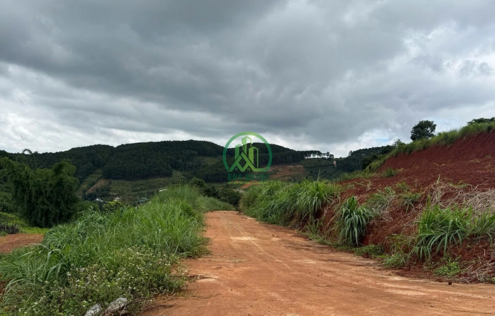 🏡 CẦN BÁN ĐẤT LÔ GÓC VIEW ĐỒI THÔNG NAM BAN- LÂM HÀ