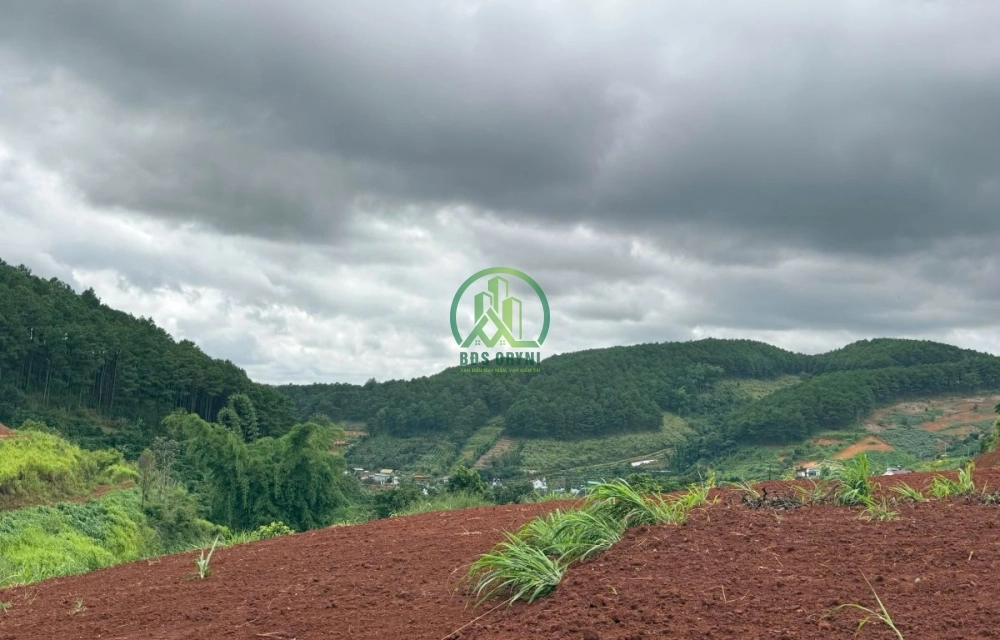 🏡 CẦN BÁN ĐẤT LÔ GÓC VIEW ĐỒI THÔNG NAM BAN- LÂM HÀ