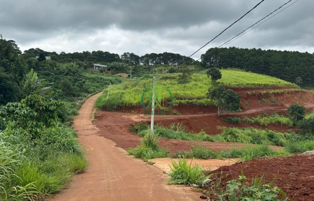 🏡 CẦN BÁN ĐẤT LÔ GÓC VIEW ĐỒI THÔNG NAM BAN- LÂM HÀ