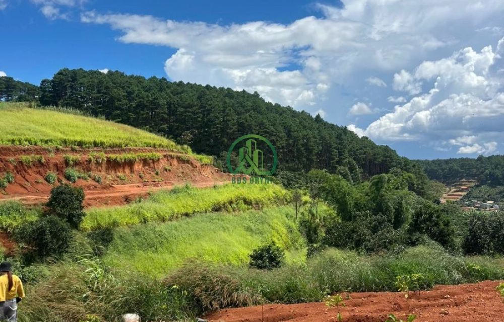 🏡 CẦN BÁN ĐẤT LÔ GÓC VIEW ĐỒI THÔNG NAM BAN- LÂM HÀ