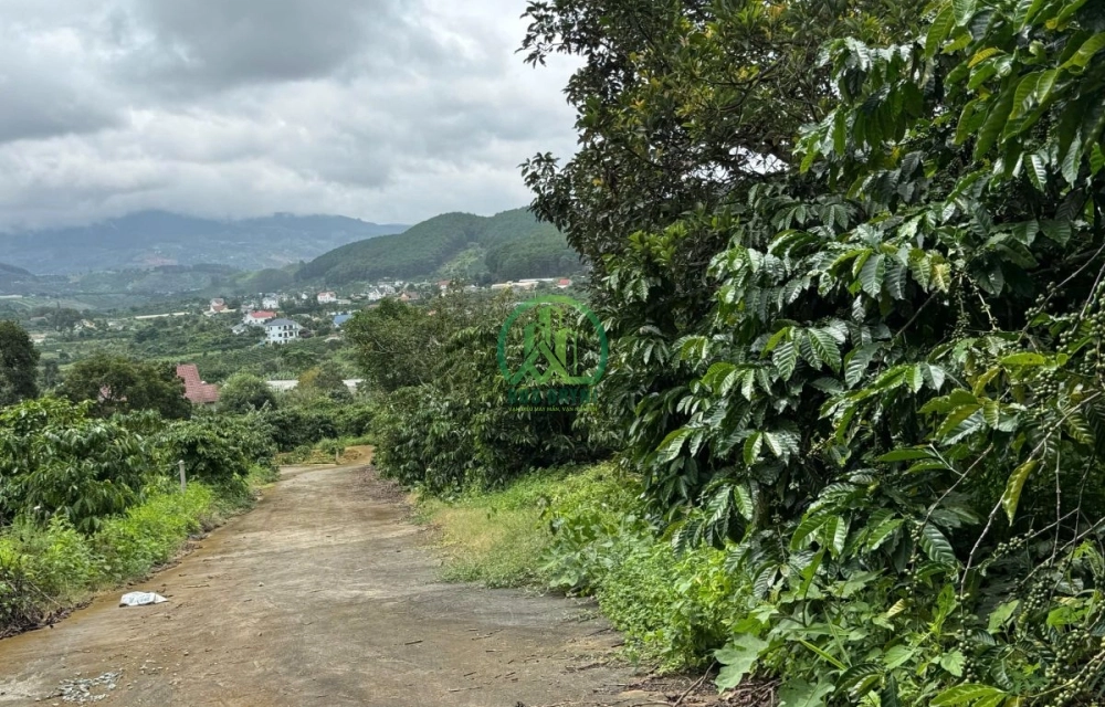🏡 CẦN BÁN LÔ ĐẤT MÊ LINH GIÁP THÔNG VIEW 360 ĐỘ NAM BAN, LÂM HÀ