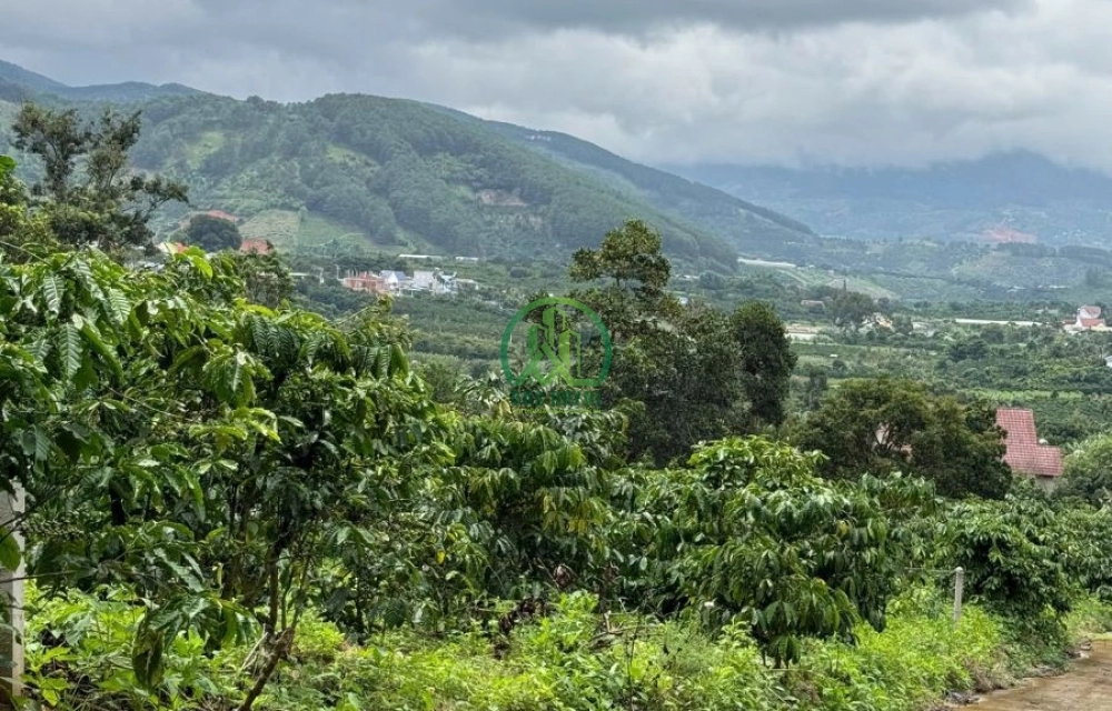 🏡 CẦN BÁN LÔ ĐẤT MÊ LINH GIÁP THÔNG VIEW 360 ĐỘ NAM BAN, LÂM HÀ