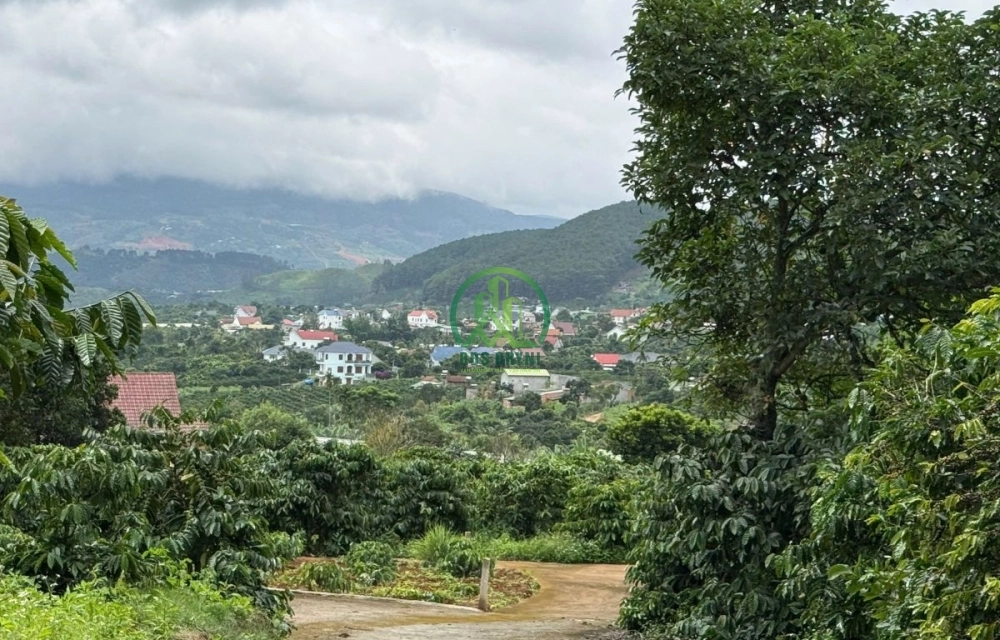🏡 CẦN BÁN 2 LÔ ĐẤT LIỀN KỀ TẠI NAM BAN, LÂM HÀ (MÊ LINH CŨ)
