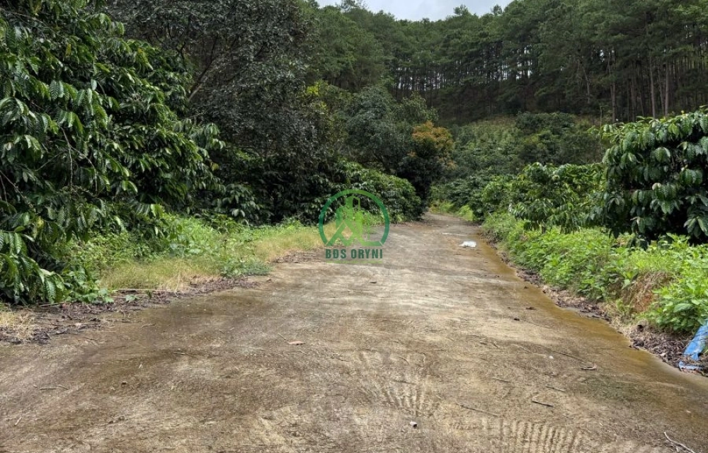 🏡 CẦN BÁN 2 LÔ ĐẤT LIỀN KỀ TẠI NAM BAN, LÂM HÀ (MÊ LINH CŨ)