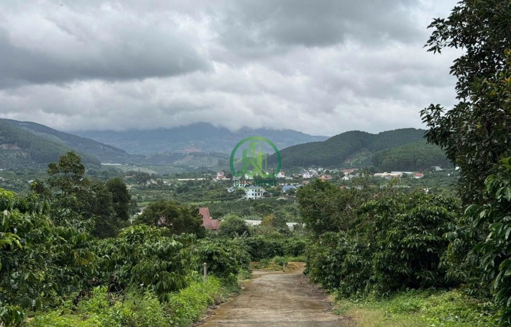 🏡 CẦN BÁN 2 LÔ ĐẤT LIỀN KỀ TẠI NAM BAN, LÂM HÀ (MÊ LINH CŨ)