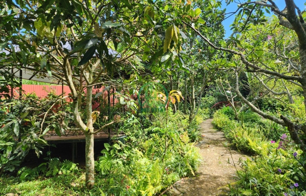 🏡 CẦN BÁN NGÔI NHÀ BÊN SUỐI LIÊN HIỆP, ĐỨC TRỌNG
