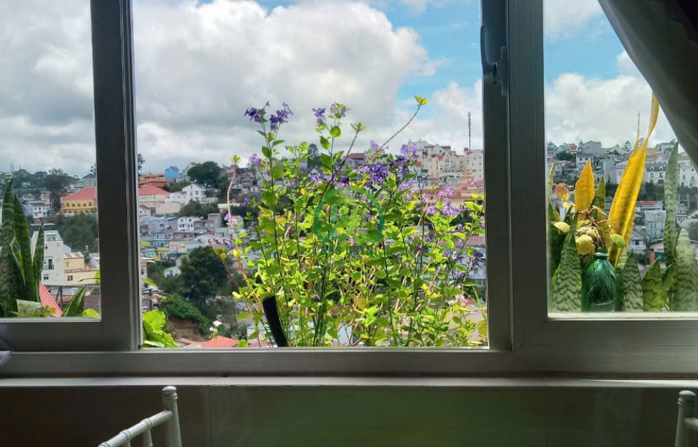 🏡 CẦN BÁN NHÀ ĐƯỜNG TRẦN PHÚ, PHƯỜNG XUÂN HƯƠNG - ĐÀ LẠT