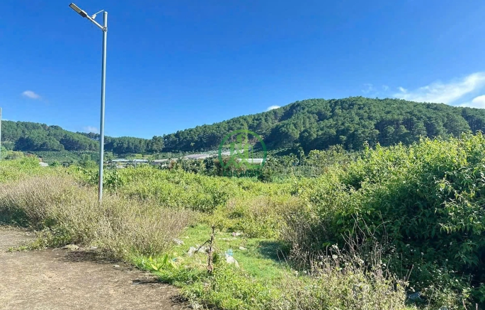 🏡 CẦN BÁN ĐẤT ĐẸP TẠI THÔN 1 MÊ LINH, LÂM HÀ, LÂM ĐỒNG