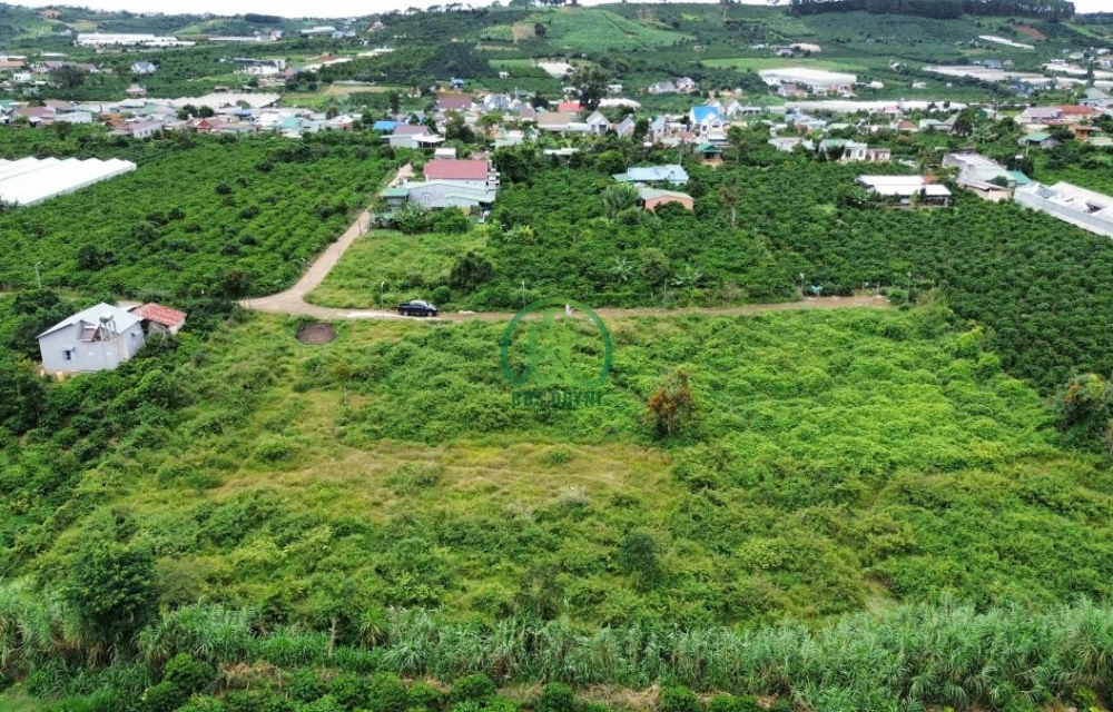 🏡 CẦN BÁN ĐẤT ĐẸP TẠI THÔN 1 MÊ LINH, LÂM HÀ, LÂM ĐỒNG