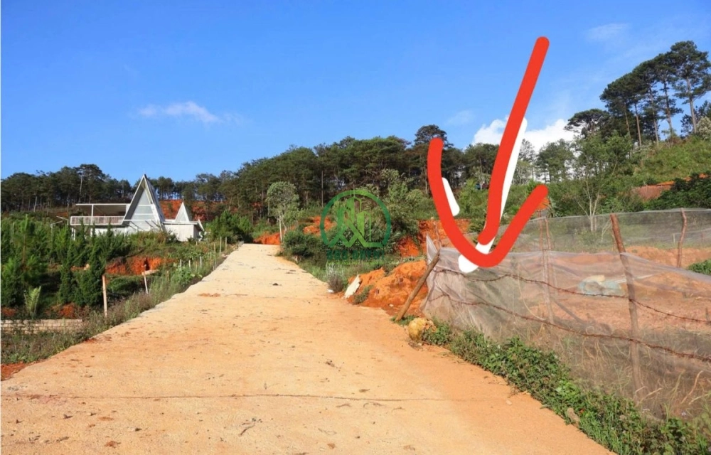 🔥 CHỈ 2,3 TỶ – SỞ HỮU ĐẤT VIEW TOÀN CẢNH LẠC DƯƠNG, SÁT RỪNG THÔNG! 🌲