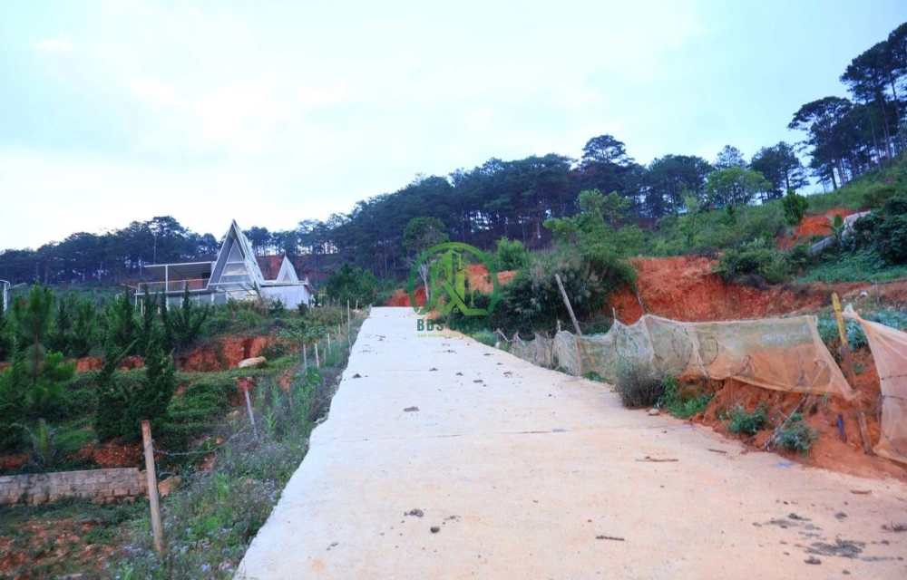 🔥 CHỈ 2,3 TỶ – SỞ HỮU ĐẤT VIEW TOÀN CẢNH LẠC DƯƠNG, SÁT RỪNG THÔNG! 🌲