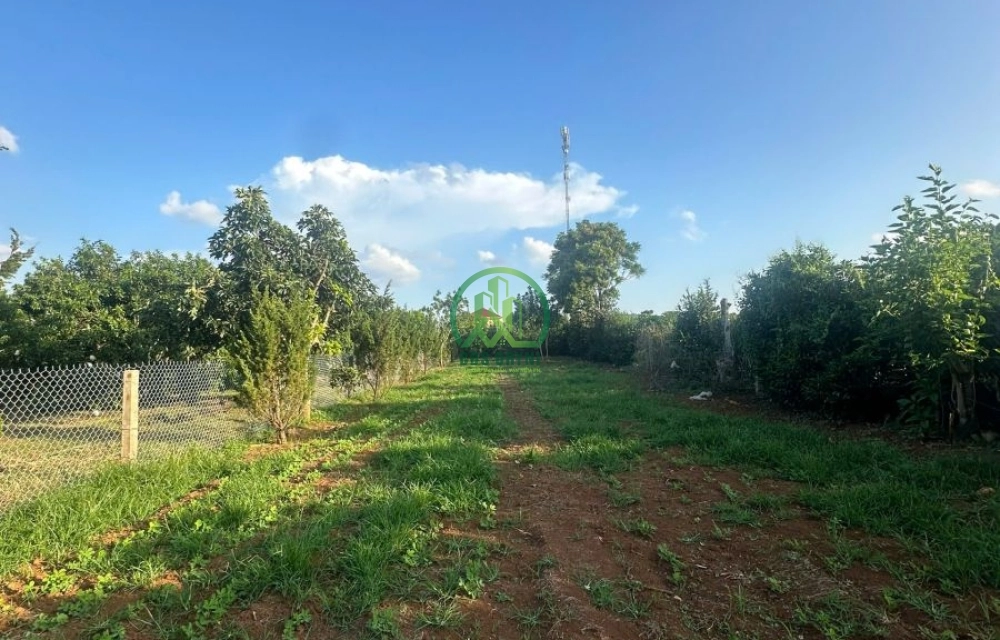 🏡 CẦN BÁN ĐẤT TẠI XÃ NAM BAN- LÂM HÀ (MÊ LINH CŨ)