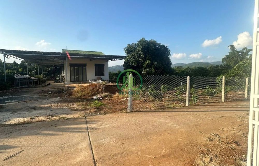 🏡 CẦN BÁN ĐẤT TẠI XÃ NAM BAN- LÂM HÀ (MÊ LINH CŨ)