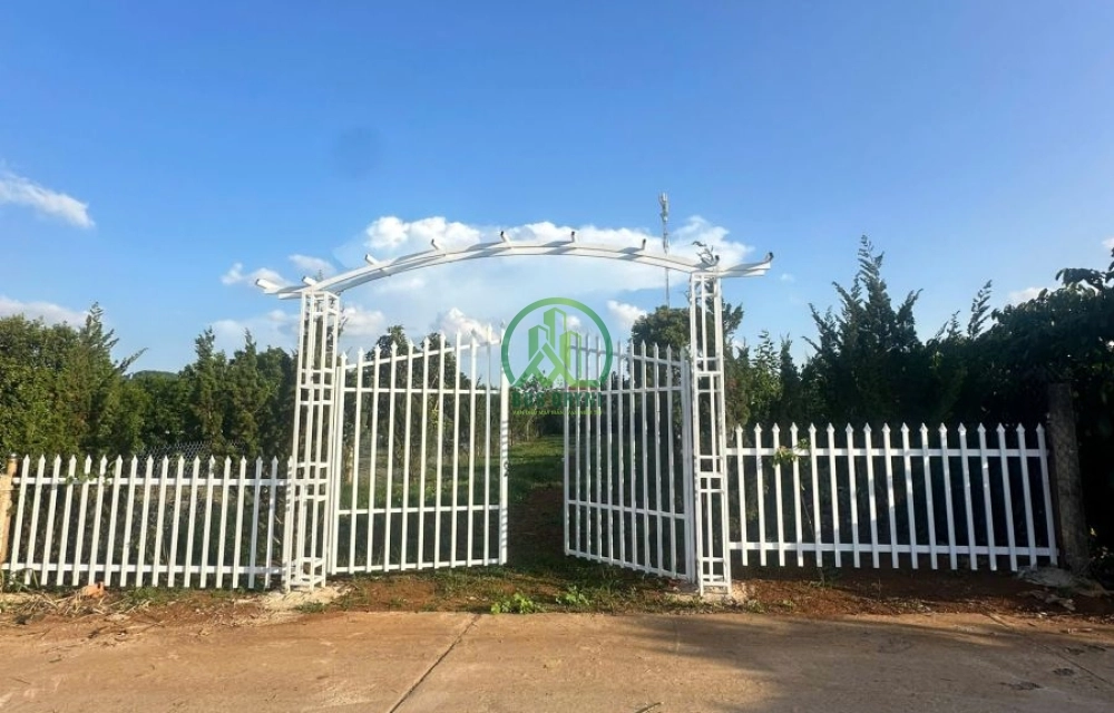 🏡 CẦN BÁN ĐẤT TẠI XÃ NAM BAN- LÂM HÀ (MÊ LINH CŨ)